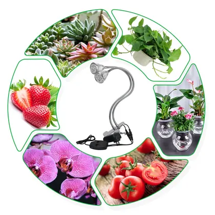 JDM 10W Dual Head LED Grow Light Plant Grow Light with 360 Degree Adjustable Gooseneck for Indoor Plants view 2