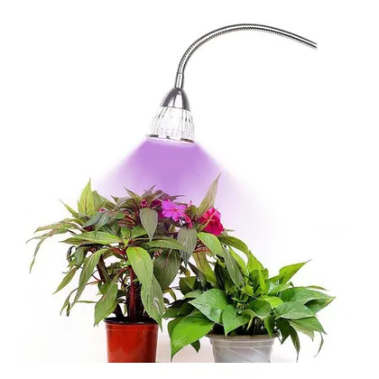 JDM 5W Plant Light with Spring Clamp and 360°Flexible Gooseneck Arm for Indoor Plant view 2