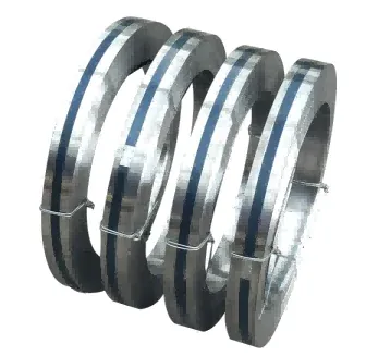 Stainless Steel Strip supplied by Jialu Metal