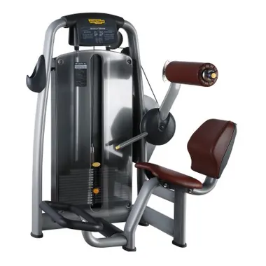 Lower Back T10 pin loaded strength made by KIC FITNESS