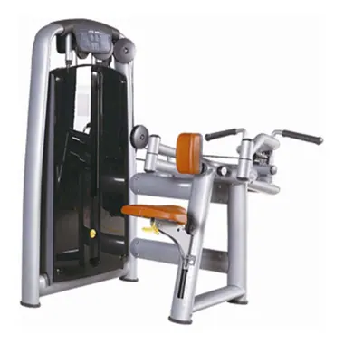 Upper Back T39 pin loaded strength made by KIC FITNESS