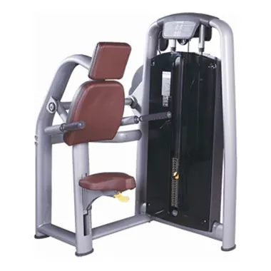 Triceps Dip T44 pin loaded strength made by KIC FITNESS