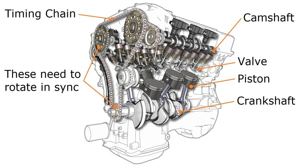 Cutaway of an engine showing the timing chain linking crankshaft camshaft and valves