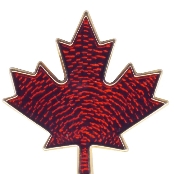 Transparent red enamel maple leaf pin with a gold tone metal edge