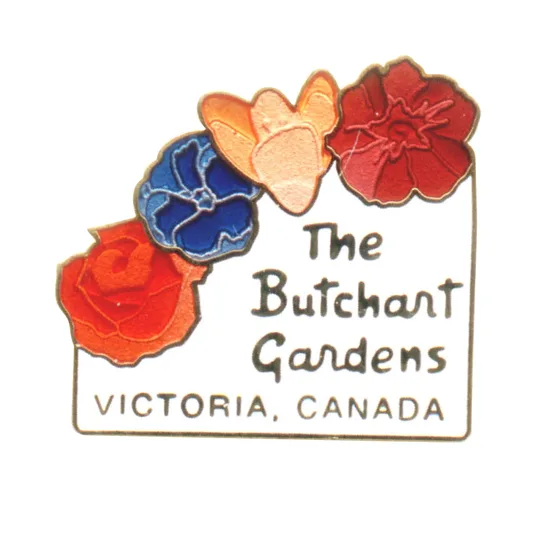 Transparent enamel rose pin with a lettered banner and gold edging