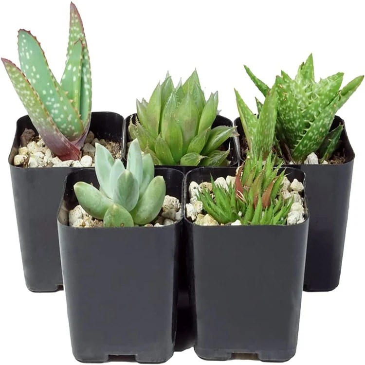 Plastic Flower Pot KGFP1202 view 4