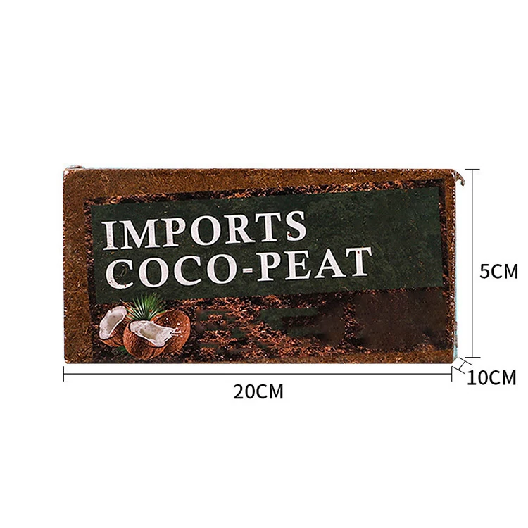 Coconut bricks KGYM1005 view 2