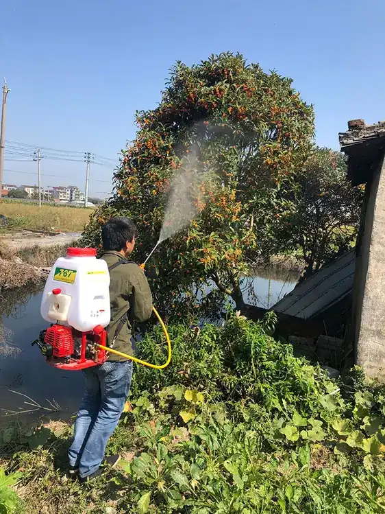 Dolly Type High Pressure Sprayer KGSP019 view 6