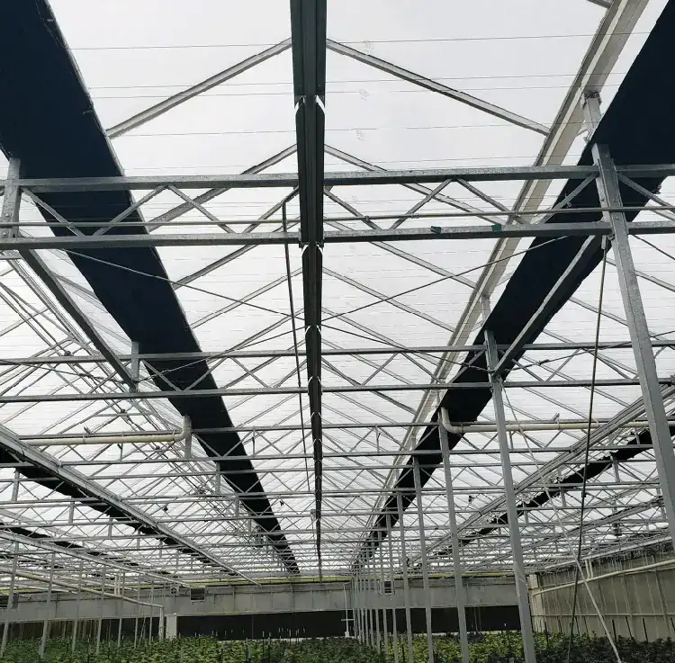 Blackout greenhouse KGGH2301 view 4