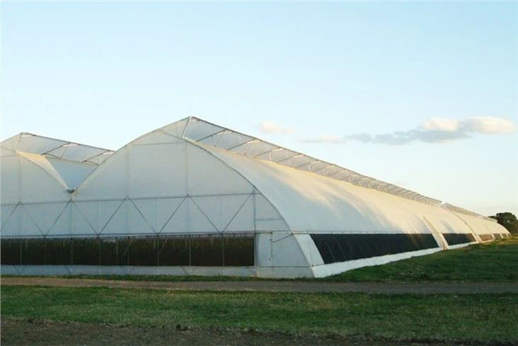 Fixed Roof Window Film Greenhouse - Agricultural Greenhouse made by Kunda