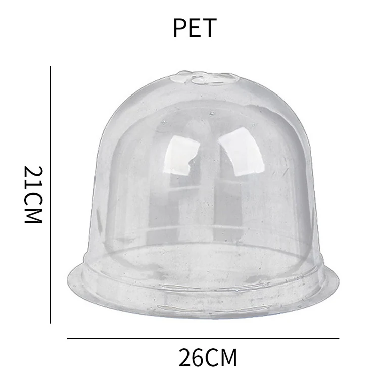 Garden Plant Cloche KGYM6001 view 2