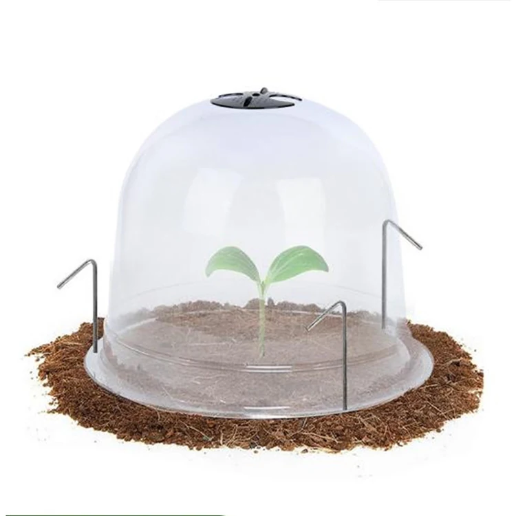 Garden Plant Cloche KGYM6001 - Growing made by Kunda