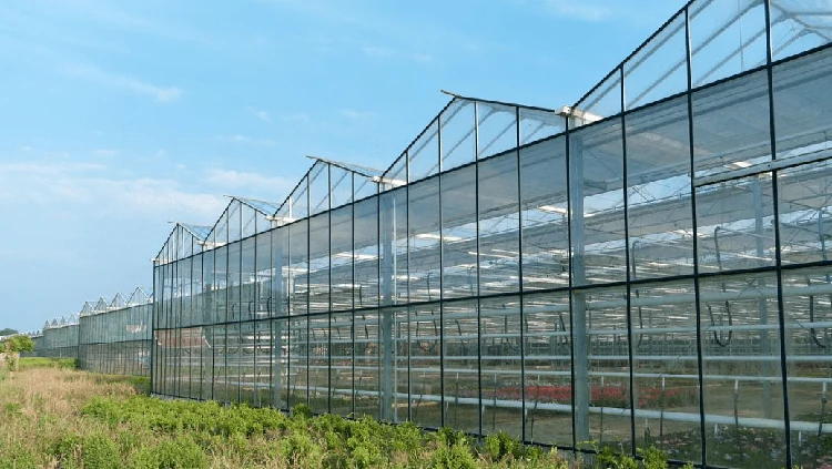 Glass greenhouse KGGH2201 view 3