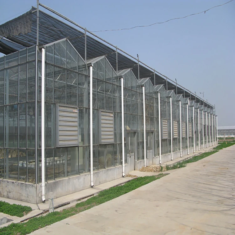 Glass greenhouse KGGH2201 view 2