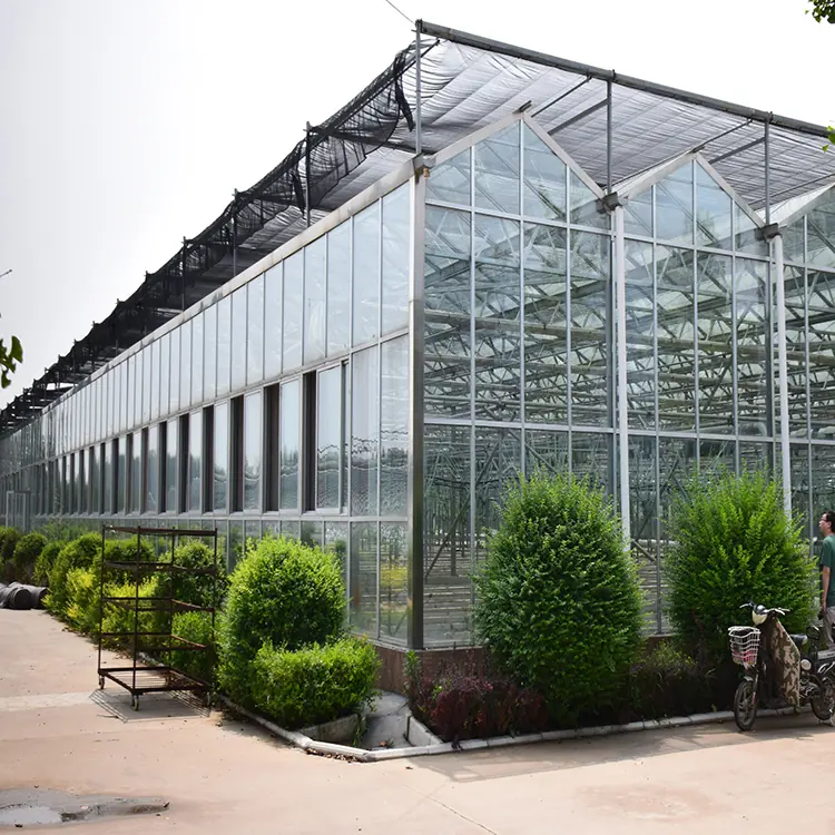 Glass greenhouse KGGH2201 view 4
