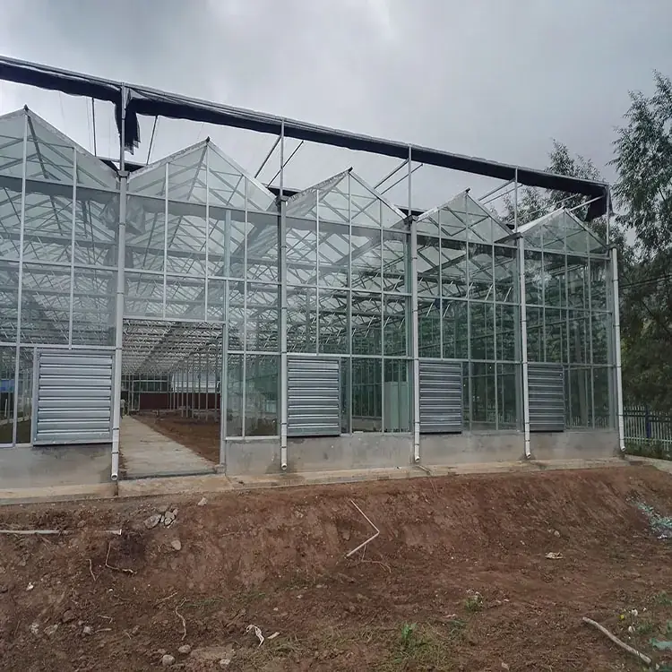 Glass greenhouse KGGH2201 view 6