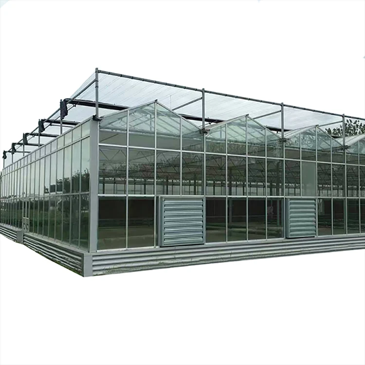 Glass greenhouse KGGH2201 - Agricultural Greenhouse made by Kunda