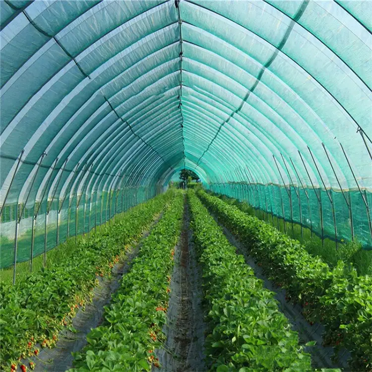 Greenhouse Sun Shade Cloth KGNT1003 view 5