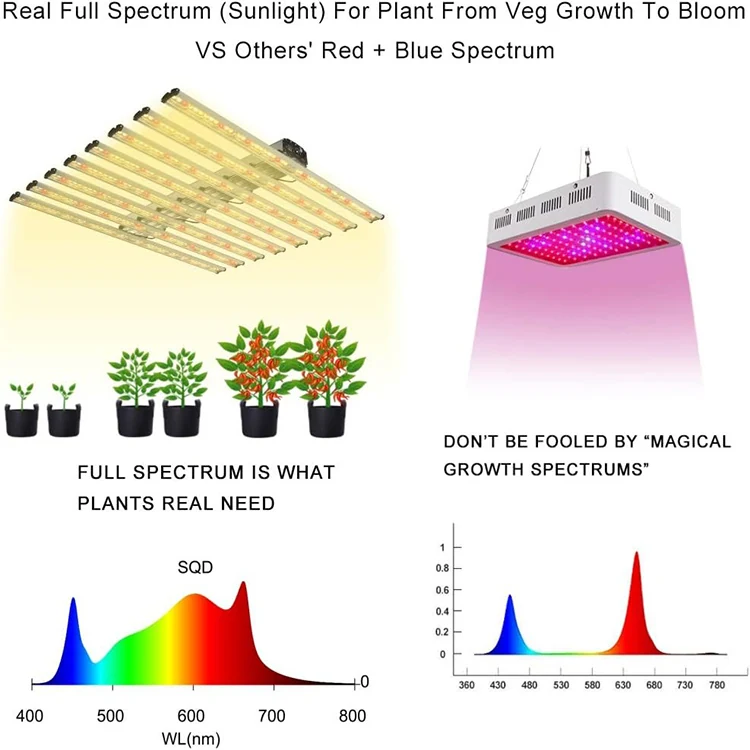 Grow Light KGGL2001 view 4