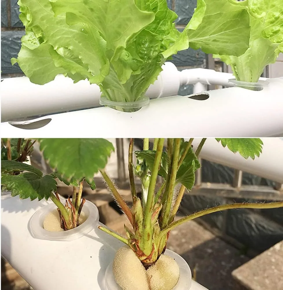 Hydroponic System (36holes) KGFP7102 view 4