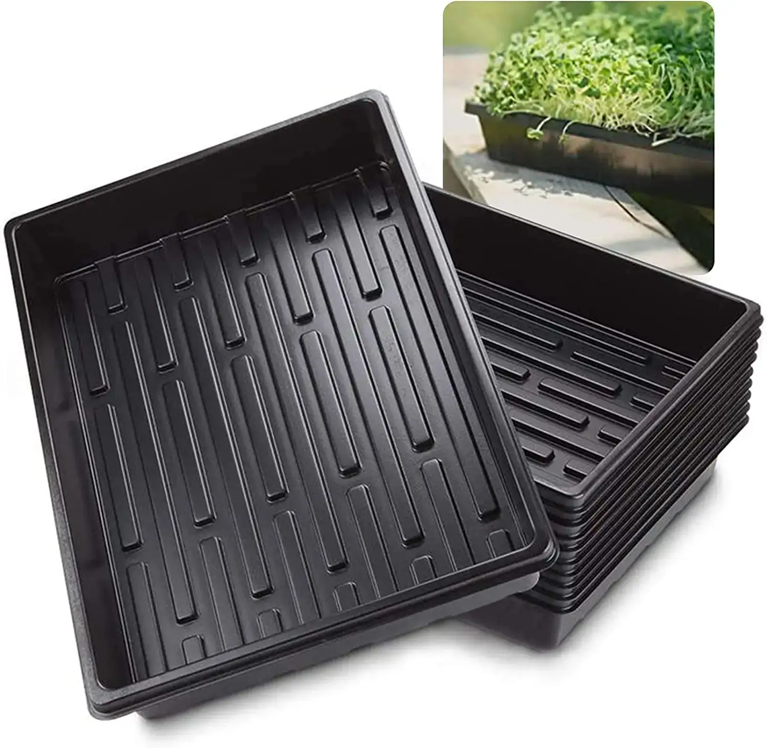 Indoor Garden Starter Kit KG2204S view 2