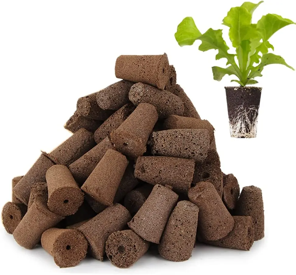 Plant Soil Block KGYM1004 view 2