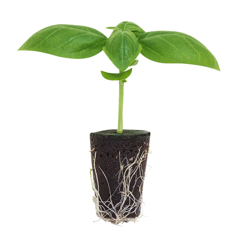 Plant Soil Block KGYM1004 - Grow Media made by Kunda