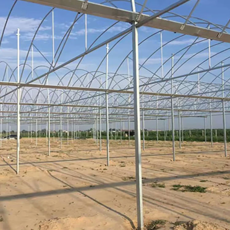 Multi Span Film Greenhouse KGGH2002 view 5