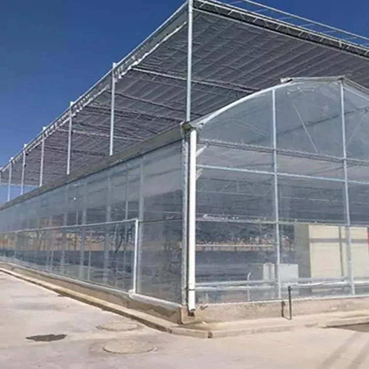 Multi Span Film Greenhouse KGGH2002 view 2