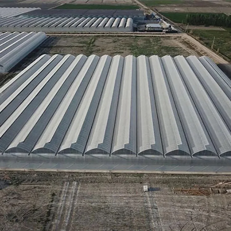 Multi Span Film Greenhouse KGGH2002 view 3