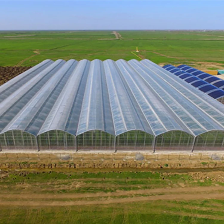 Multi Span Film Greenhouse KGGH2002 view 4