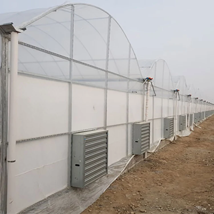 Multi Span Film Greenhouse KGGH2002 - Agricultural Greenhouse made by Kunda