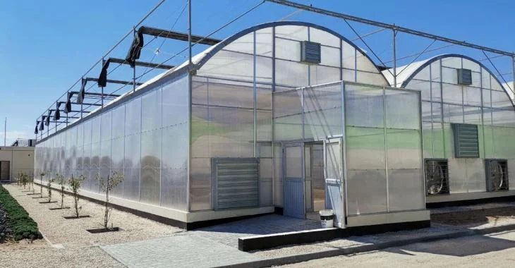 Multi Span Film Greenhouse - Agricultural Greenhouse made by Kunda