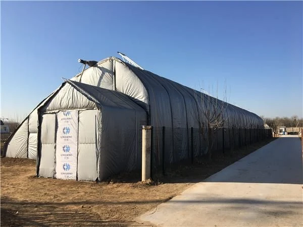 Newest Solar Greenhouse view 2