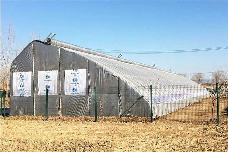 Newest Solar Greenhouse - Agricultural Greenhouse made by Kunda
