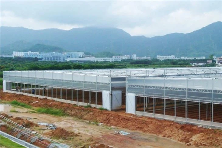 Openable Roof Film Greenhouse - Agricultural Greenhouse made by Kunda