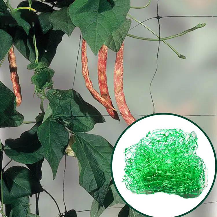 Plant Support Net KDNT007 view 5