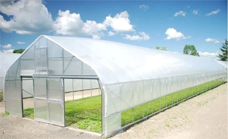 Plastic Film Tunnel Greenhouse - Agricultural Greenhouse made by Kunda