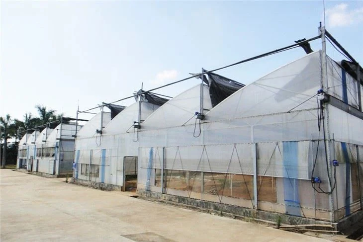 Saw Roof Film Greenhouse - Agricultural Greenhouse made by Kunda