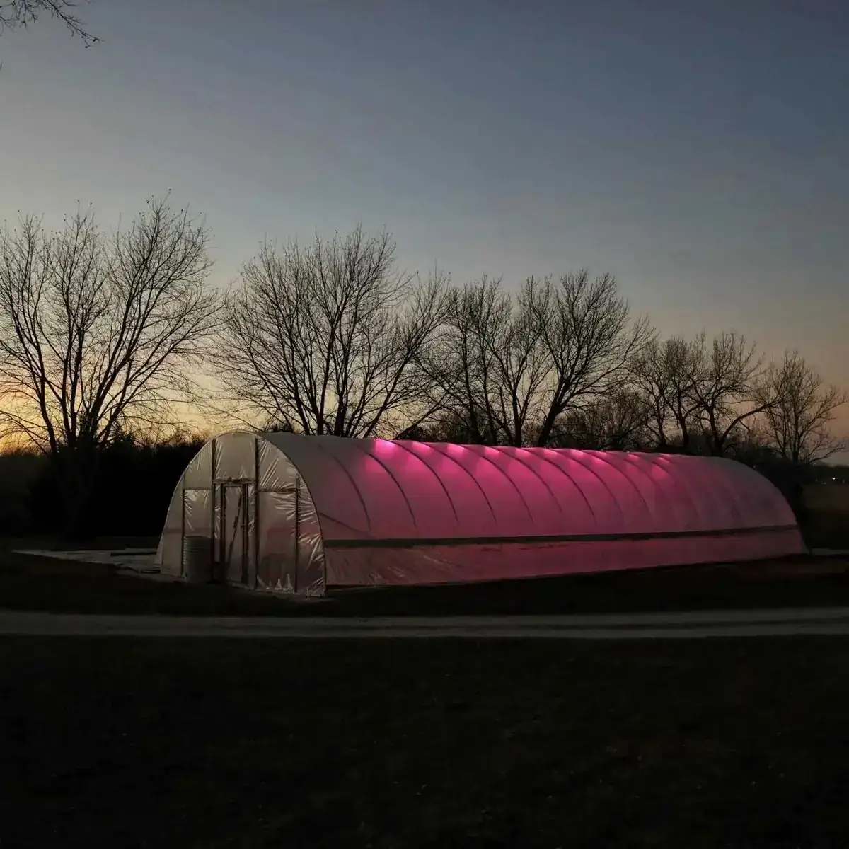 Single-Span Agricultural Greenhouses KGGH2001 view 2