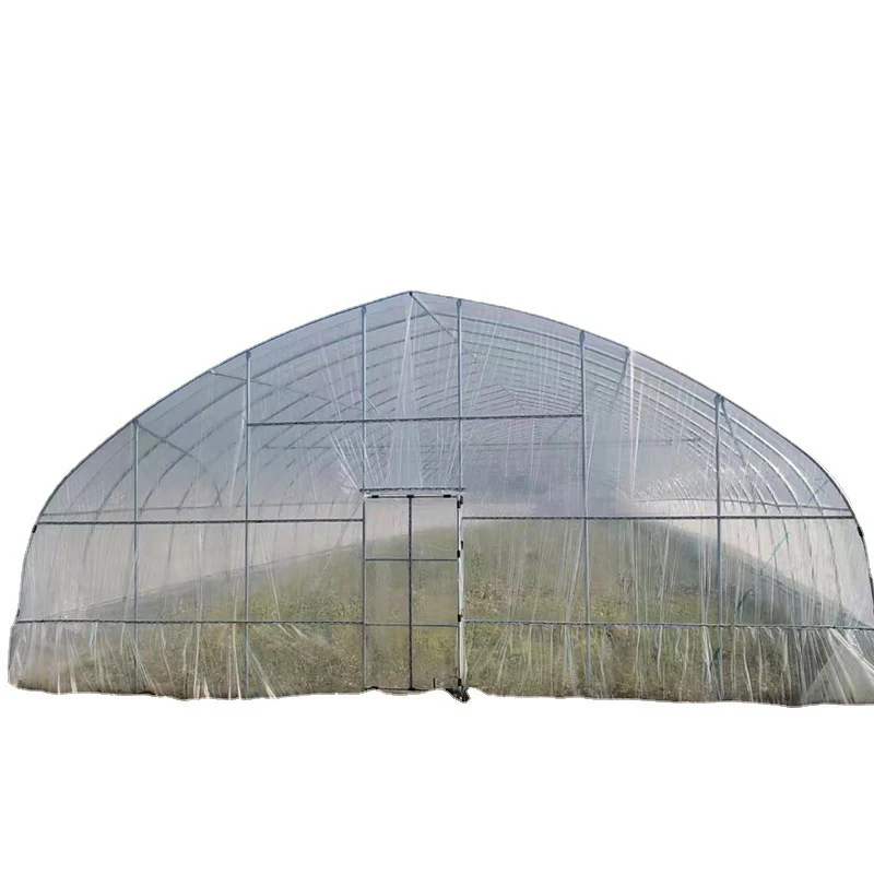 Single-Span Agricultural Greenhouses KGGH2001 - Agricultural Greenhouse made by Kunda