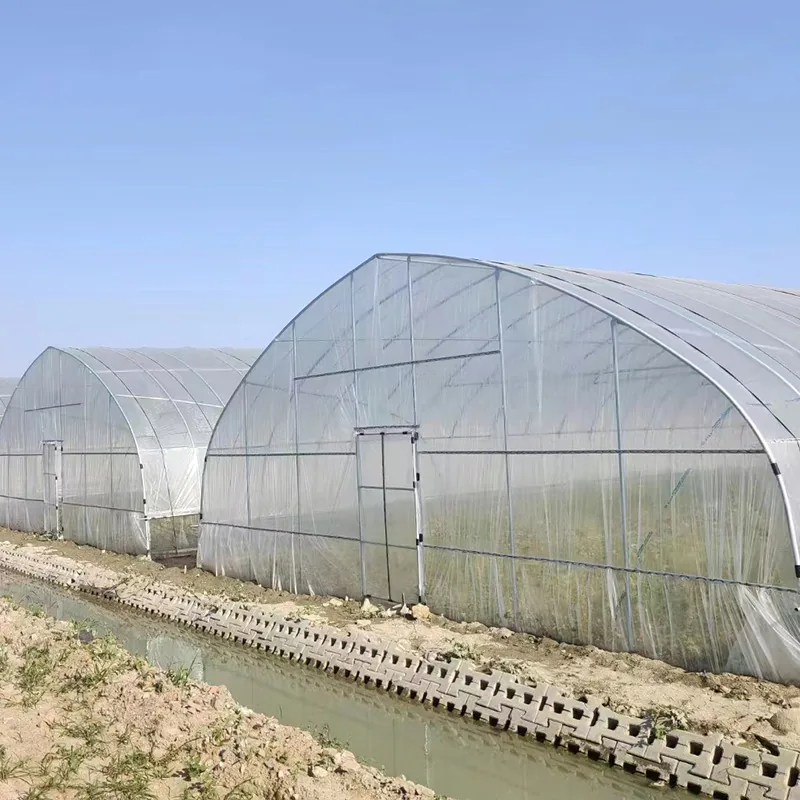 Single-Span Agricultural Greenhouses KGGH2001 view 4