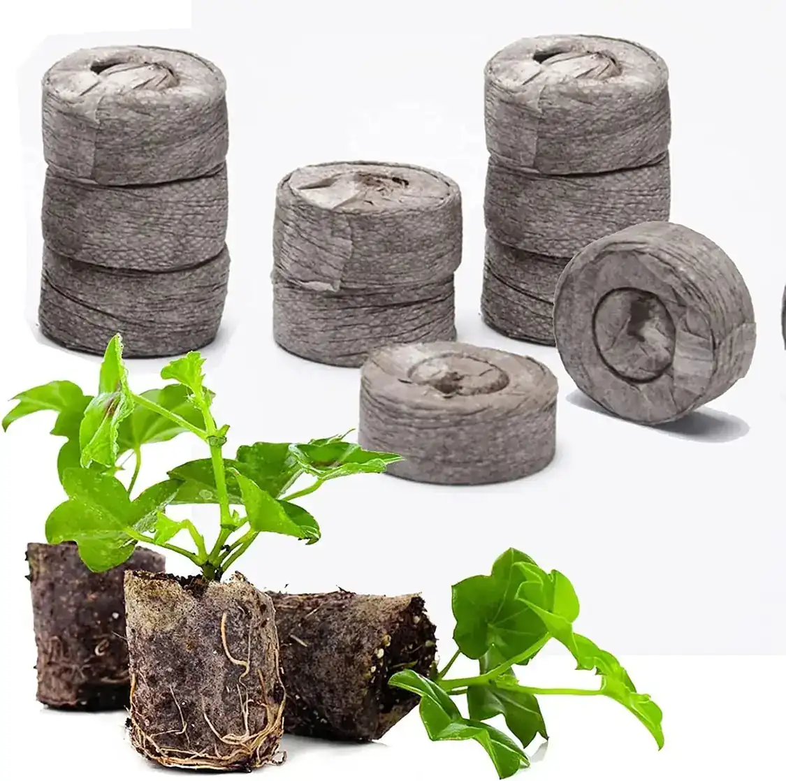 Coconut Peat KGYM1001 view 2