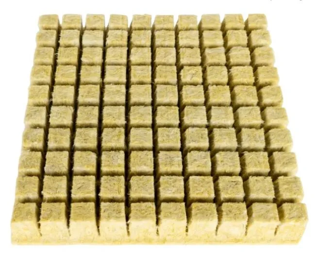Grow Rock Wool Plug KGYM2001 view 3