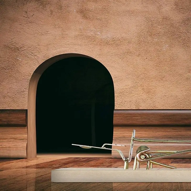 Wooden Mouse Rat Snap Trap - NRTW002, alternate angle