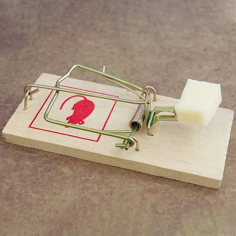 Wooden Mouse Rat Snap Trap - NRTW002, size reference