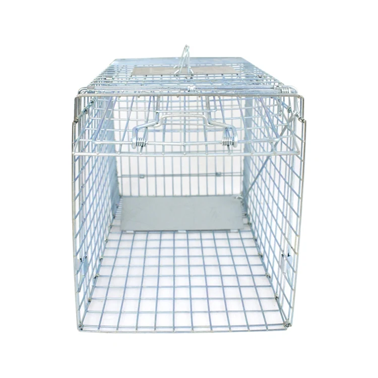 Animal Cage Trap - NRTM010, in use