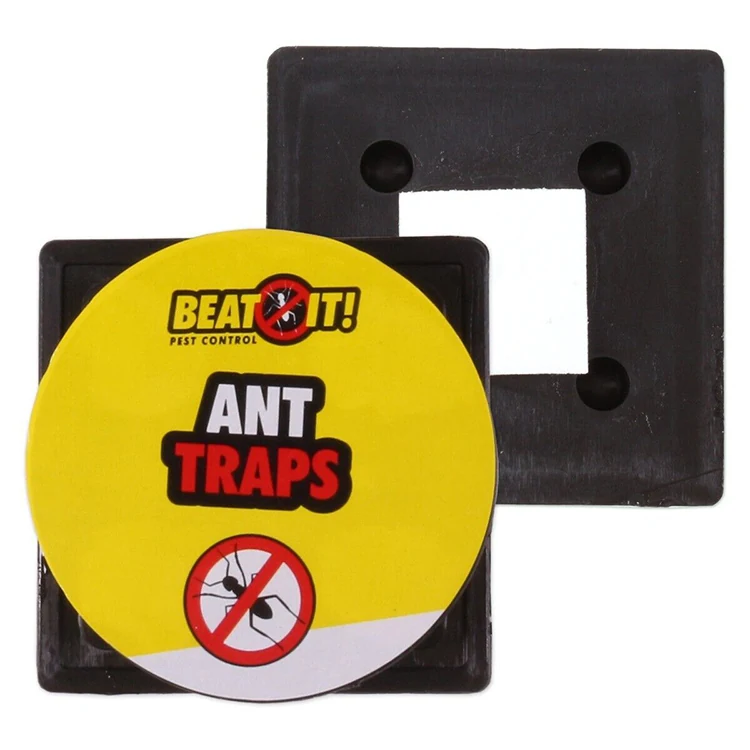 Ant Glue Trap - NRTG050, detail view