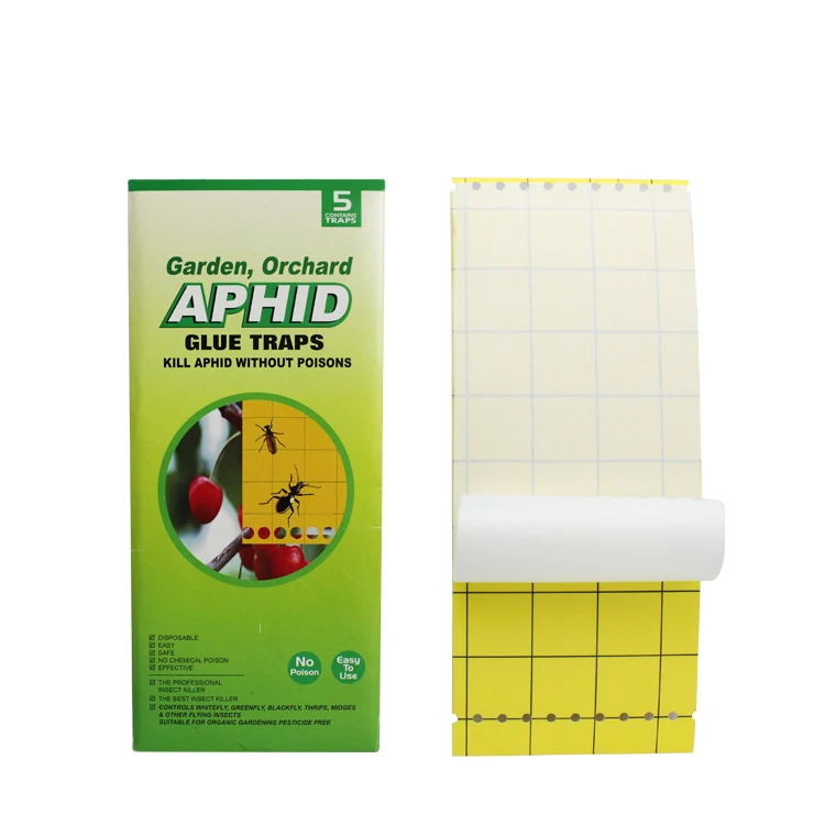Aphid Glue Traps - NRTG023 — KUNDA insect sticky board