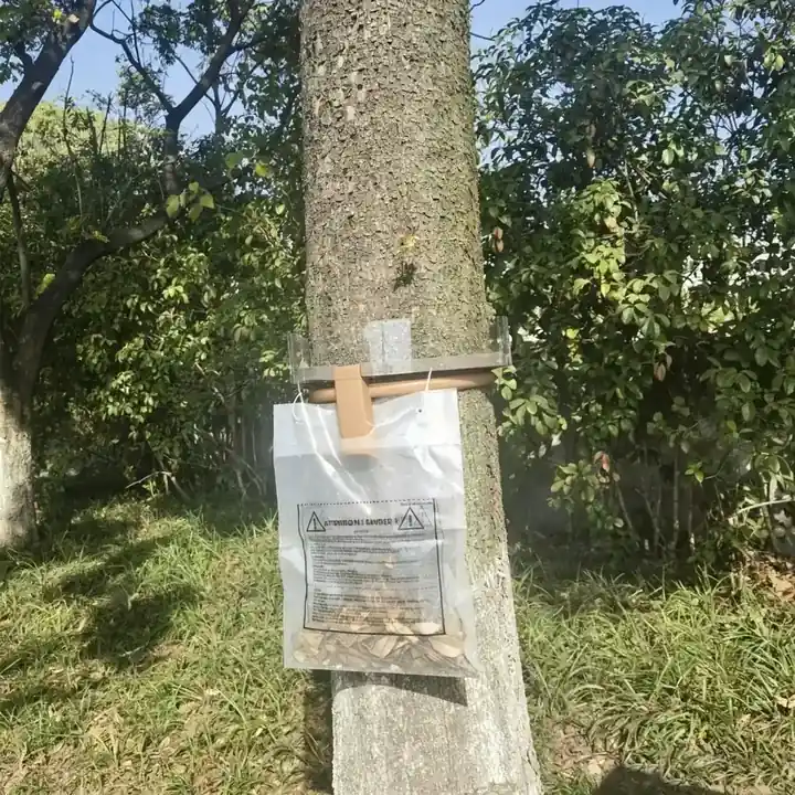Caterpillar Trap - KDCT101, detail view